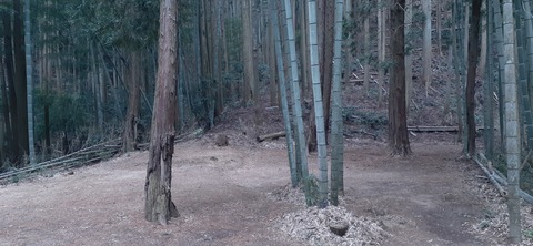 193-177(35-34)峰やしき204_121450