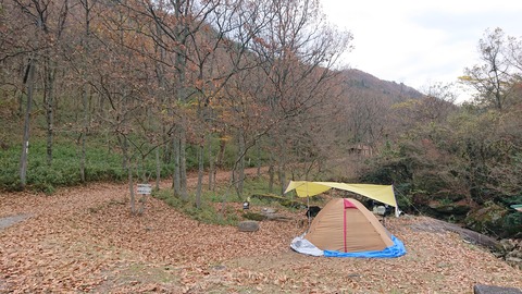 73-60(28-24)よかろうパーク596S