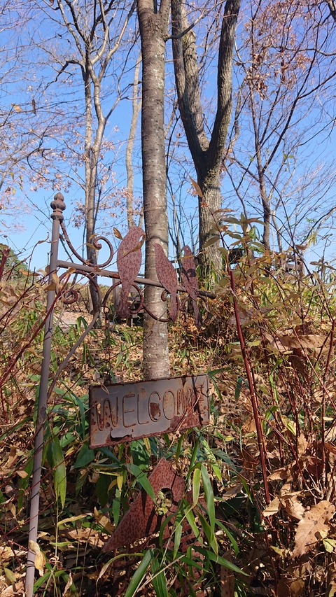 126-111(25-25)CAMP✕WOODS329