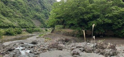 157-142(56-56)日之影キャンプ村506_124901