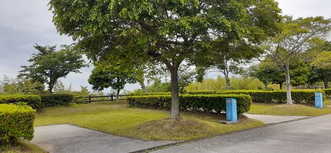 212-196(1-1)竜王山公園AC520_102424