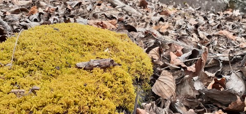 146-131(45-45)牧の原キャンプ場12_123848