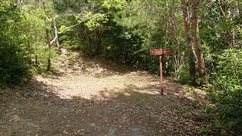 97-82(52-46)江汐公園キャンプ場706