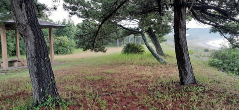 161-146(3-3)来浦キャンプ場611_185034