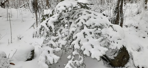 238-221(27-26)法華院温泉山荘1118_104734