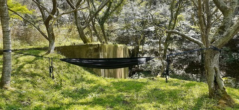 255-236(44-41)味見桜公園413_124121