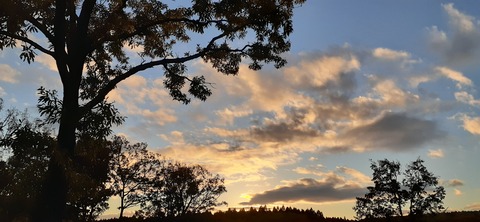 180-164(22-21)久住高原Ｈ天空の大地1103_170523