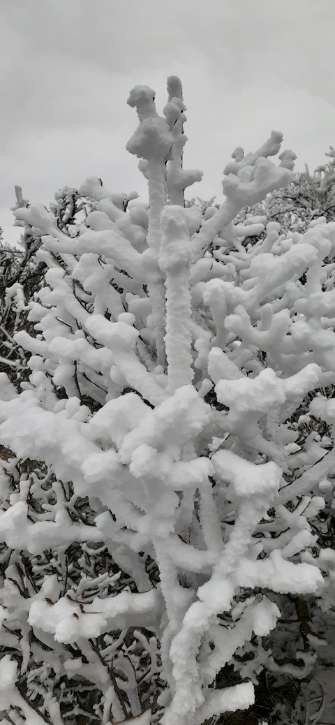 251-232(40-37)法華院温泉山荘2泊目224_101520