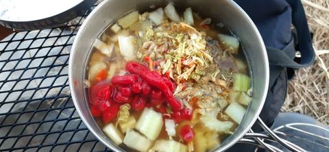 251-232(40-37)伽藍岳ゲリラキャン302_174109