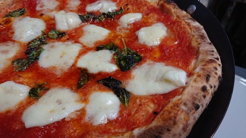 126-111(25-25)CAMP✕WOODS408