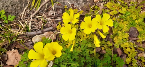 254-235(43-40)長崎鼻リゾート②330_140440