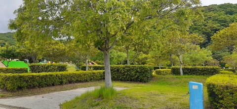 212-196(1-1)竜王山公園AC520_102508