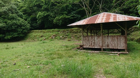 104-89(3-3)八木山渓流公園437