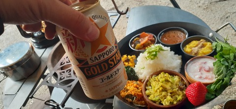 199-183(41-40)山中キャンプ場311_172817