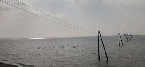 190-174(32-31)たまなフラワーパーク107_115306