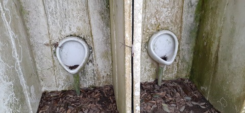 202-186(44-43)八木山渓流公園325_124120