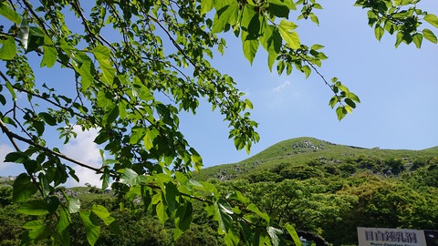 46-37目白洞キャンプ場241R