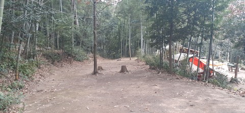 193-177(35-34)峰やしき204_121646