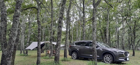 172-157(14-14)くじゅう自然動物園903_123157R