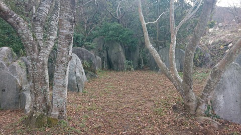 77-62(32-28)目白洞キャンプ場4995