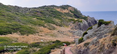 131-116(30-30)大島津和瀬キャンプ場35645