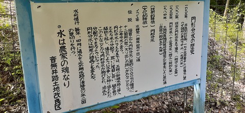 158-143(57-57)陽目の里キャンピングパーク507_135718