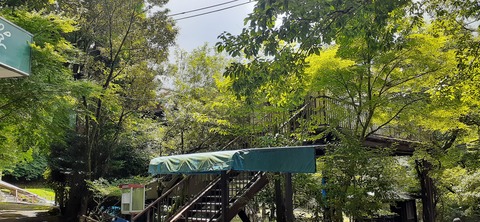 168-153(10-10)阿蘇ファンタジーの森806_122659