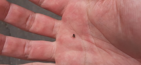 227-210(16-15)スノーピーク奥日田902_142223