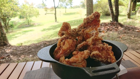 121-106(20-20)九重山麓風の丘641