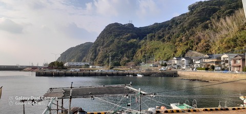 131-116(30-30)大島津和瀬キャンプ場292339