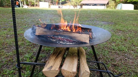 96-81(51-45)伐株山憩いの森626