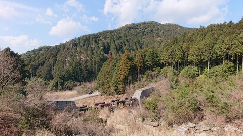 88-74(43-38)昭和の森一本松サイト860