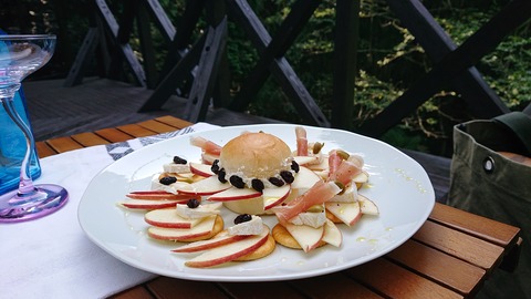 118-103(17-17)グランピングKAWASAKI２107S