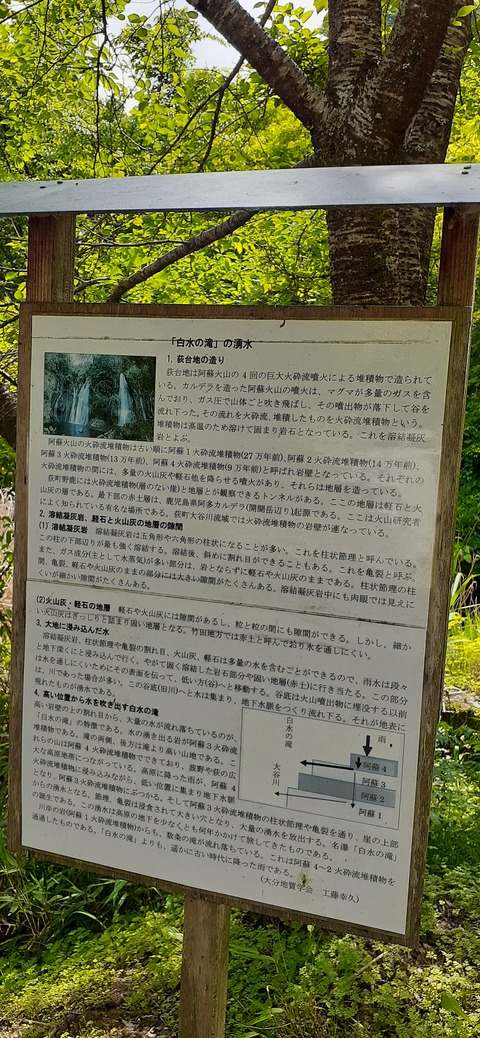 158-143(57-57)陽目の里キャンピングパーク507_141525