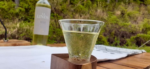 152-137(51-51)阿蘇夢蛍キャンプ場429_141543