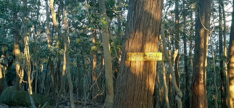 251-232(40-37)大坂山障子ヶ岳218_072414
