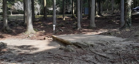 199-183(41-40)山中キャンプ場311_112507