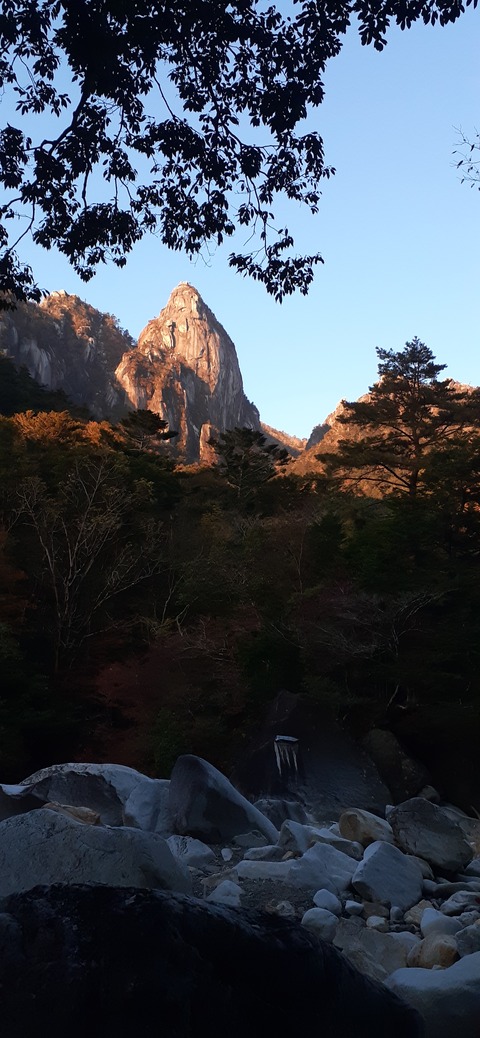 236-219(25-24)大崩山1104_065327