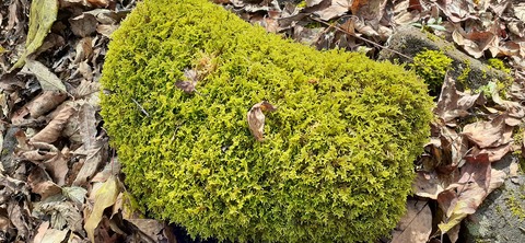 182-166(24-23)牧の原キャンプ場2回目1113_100025