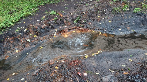 112-97(11-11)坊ガツルキャンプ場364