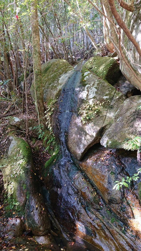 68-55(23-19)藤河内渓谷キャンプ場229S