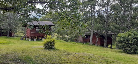 228-211(17-16)泉水キャンプ村909_130536