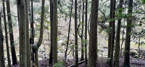 202-186(44-43)八木山渓流公園326_093106