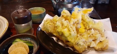 174-159(16-16)木魂館925_111525