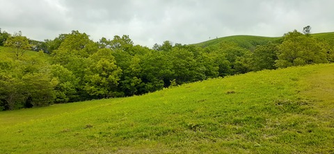 159-144(1-1)遊牧民521_114836