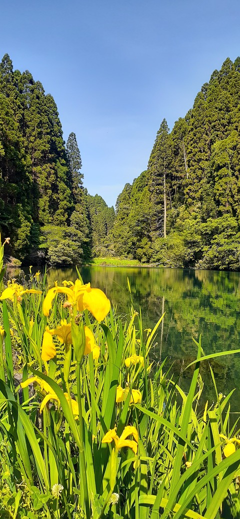 208-192(50-49)奥霧島御池キャンプ村502_083517