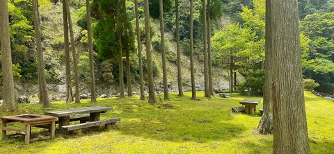 211-195(53-52)猿ヶ城キャンプ場505_131043