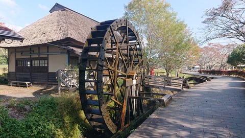 67-54(22-18)辻河原公園キャンプ場182S