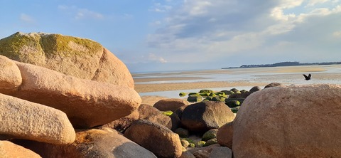 198-182(40-39)キワラビーチ225_163349