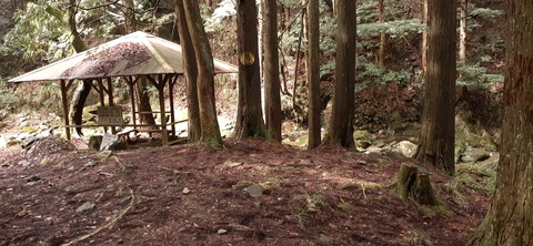 202-186(44-43)八木山渓流公園325_110124